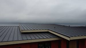 Reliable Stevensville, MD Roofing service Solutions